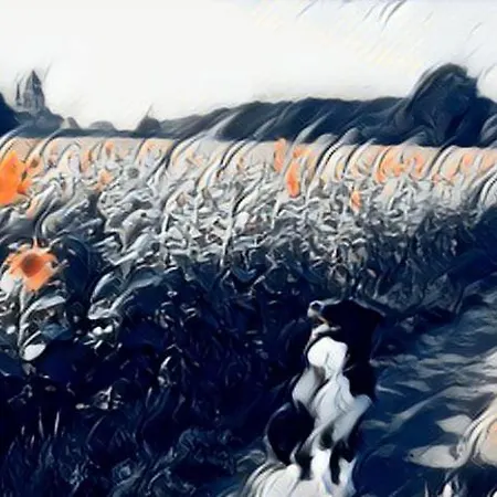 Les Ecuries Des Princesses * 丰特夫罗拉拜